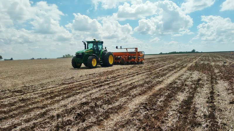 la siembra tradicional, también denominada siembra convencional, lleva una larga trayectoria siendo el procedimiento generalmente usado para la siembra y el cultivo.- la siembra tradicional, también denominada siembra convencional, lleva una larga trayectoria siendo el procedimiento generalmente usado para la siembra y el cultivo.-